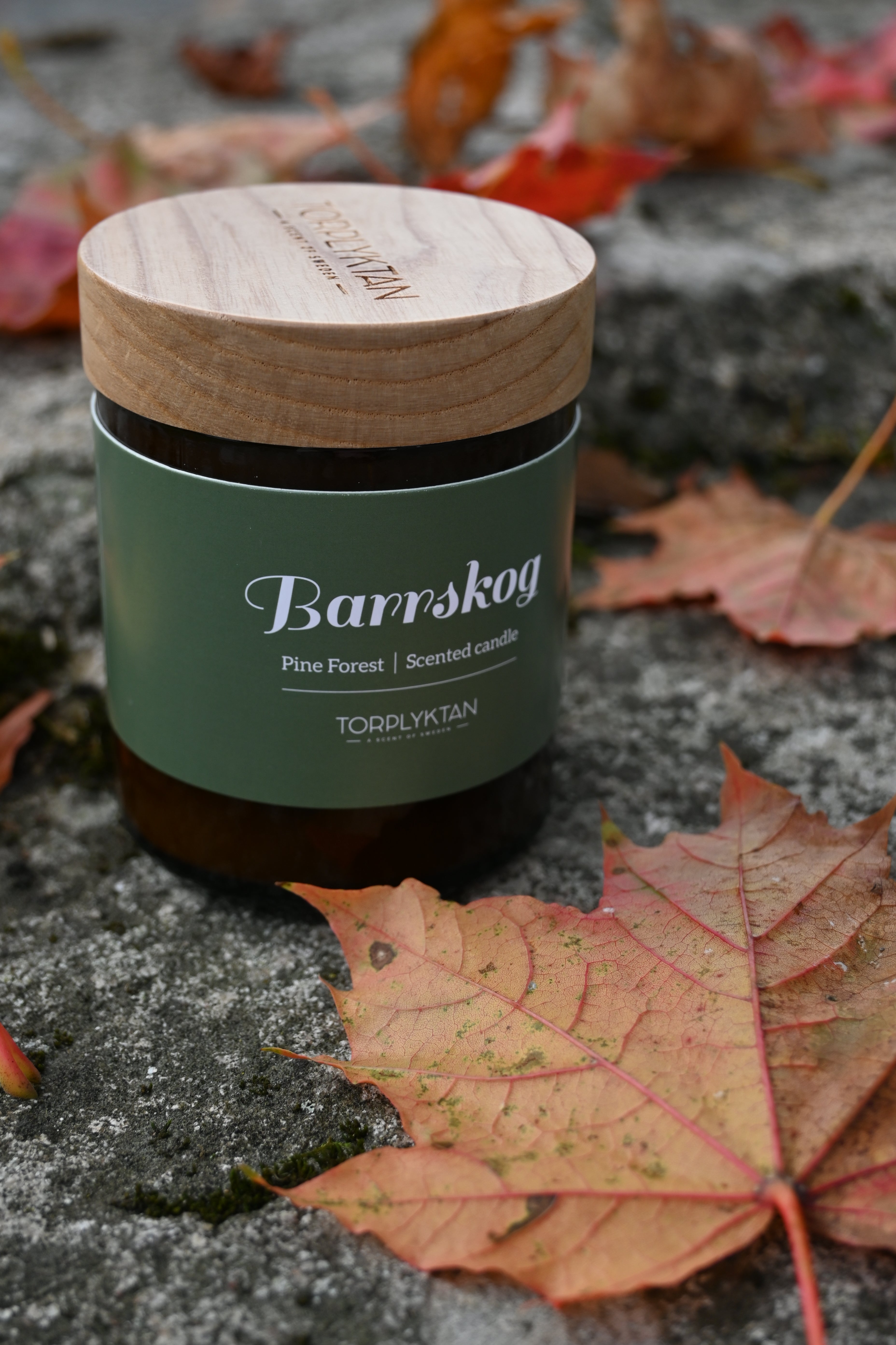 Torplyktan Doftljus Barrskog