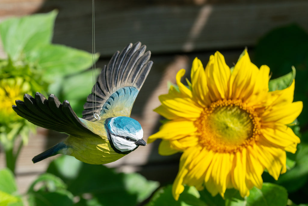 WILDLIFE GARDEN BLÅMES FLYGANDE