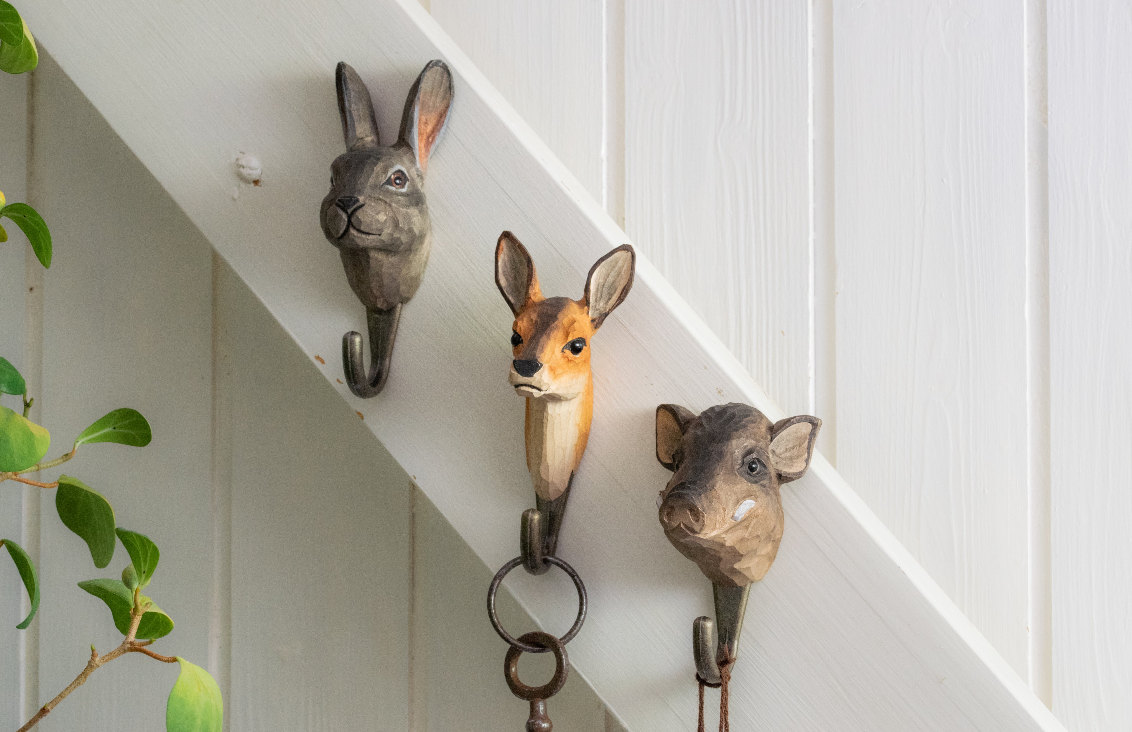 wildlife garden vildsvin