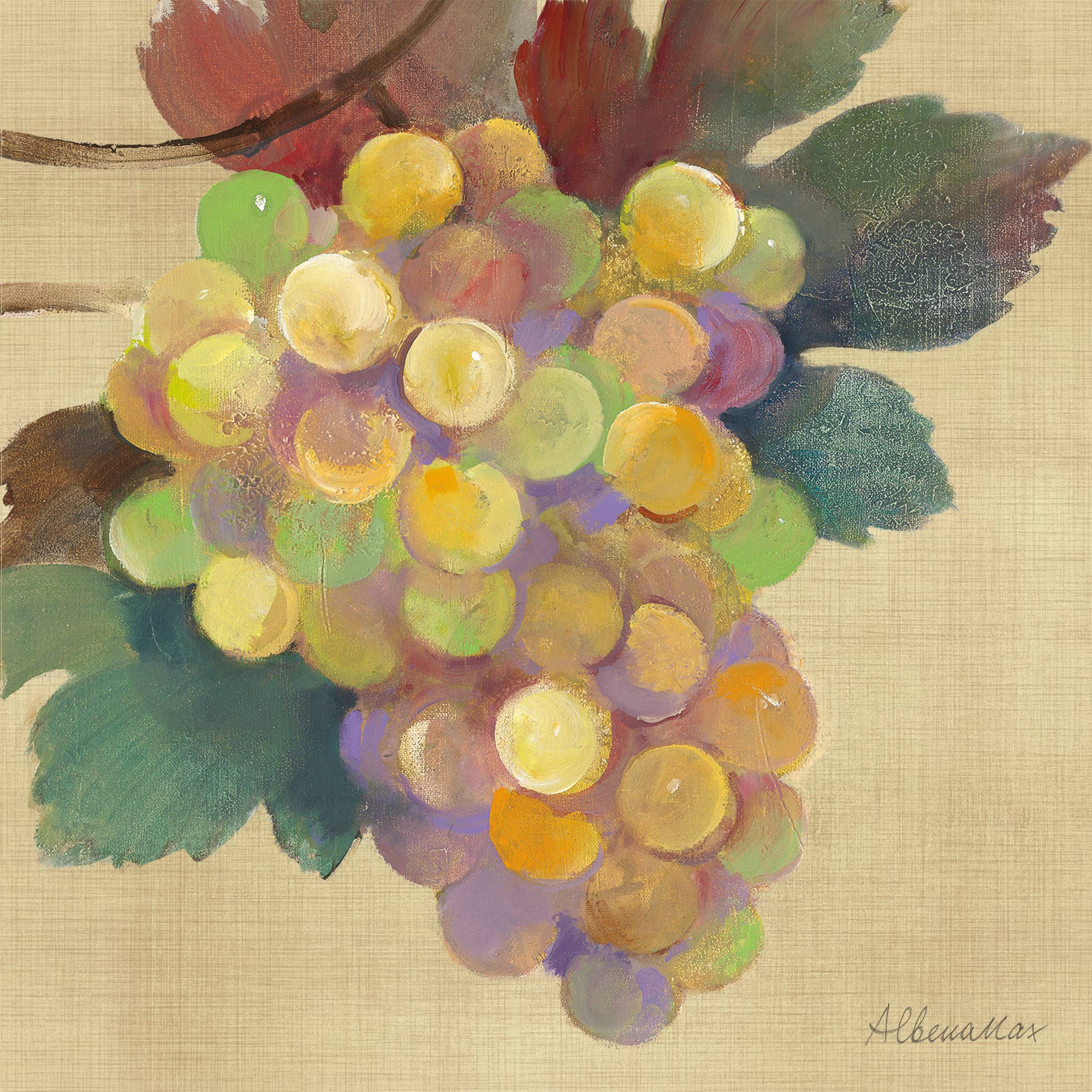Wine Country vit servett 33x33 cm